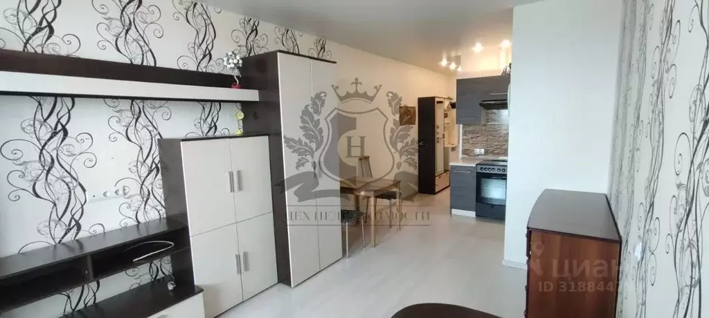 Студия Санкт-Петербург ул. Орджоникидзе, 52 (24.3 м) - Фото 1