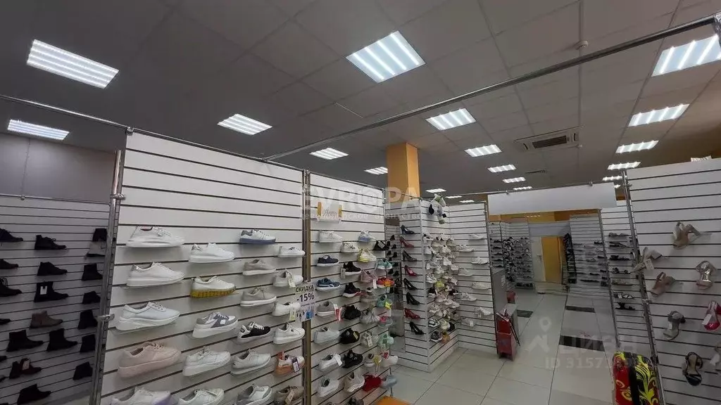 Торговая площадь в Ульяновская область, Ульяновск просп. Гая, 65Г (159 ... - Фото 2