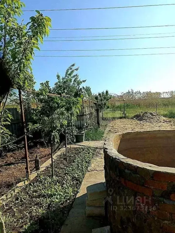 Дом в Ростовская область, Батайск Полтавская ул. (42 м) - Фото 1