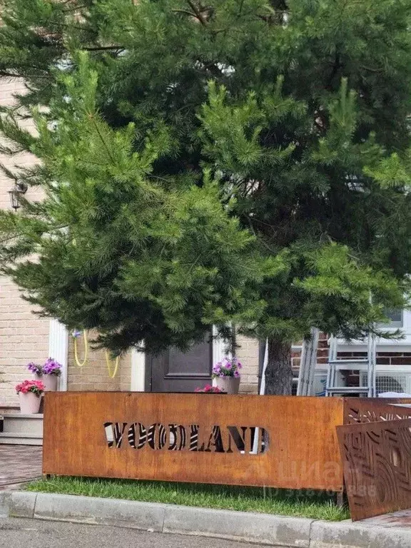 Участок в Московская область, Ленинский городской округ, Мисайлово ... - Фото 1