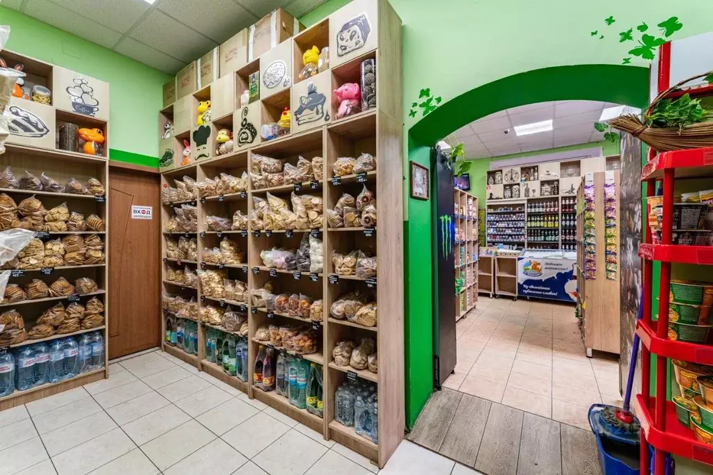 Помещение свободного назначения в Москва Первомайское поселение, ... - Фото 1