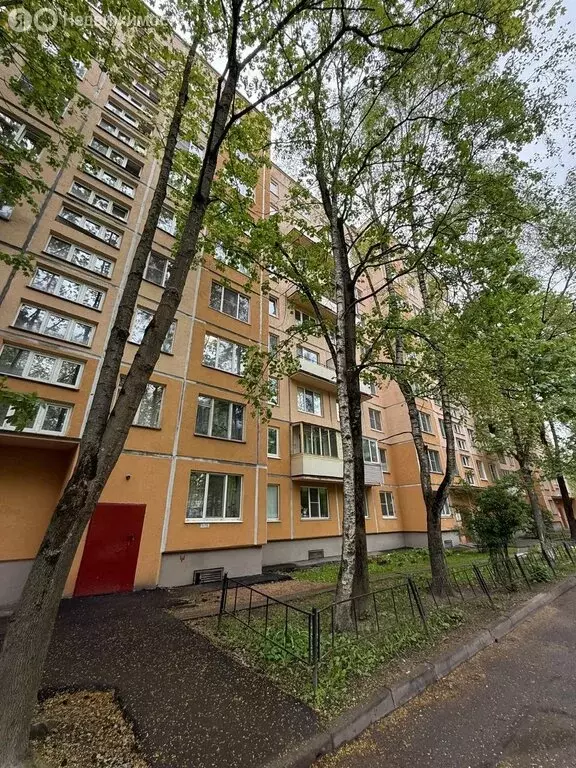 1-комнатная квартира: Санкт-Петербург, улица Дыбенко, 18к1 (31 м) - Фото 1
