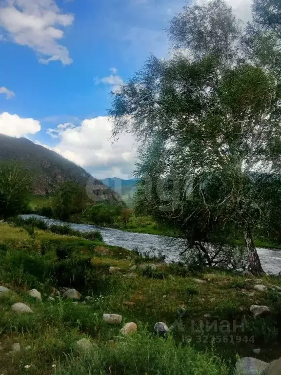 Участок в Алтай, Онгудайский район, Хабаровское с/пос, с. Улита  ... - Фото 1