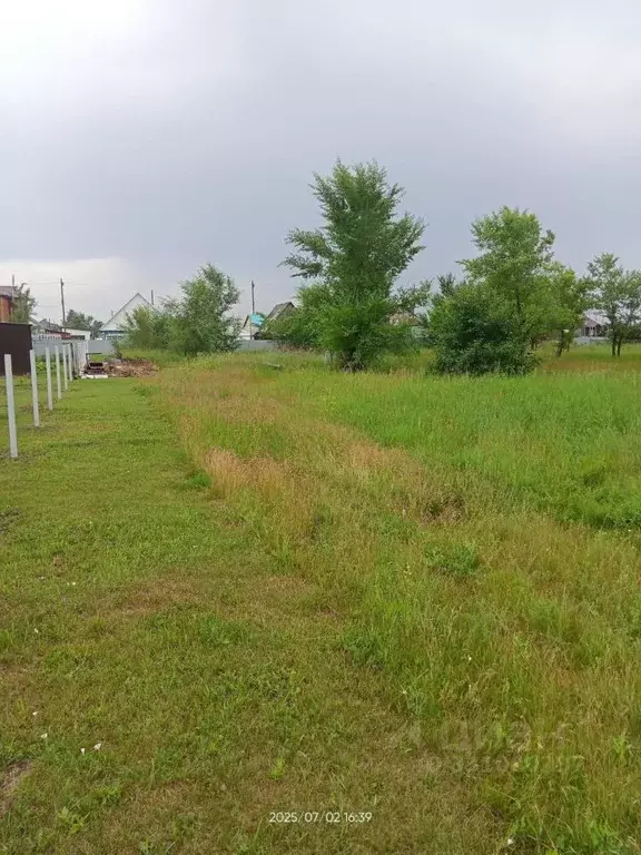 Участок в Алтайский край, с. Ребриха ул. Северо-западная (12.0 сот.) - Фото 2