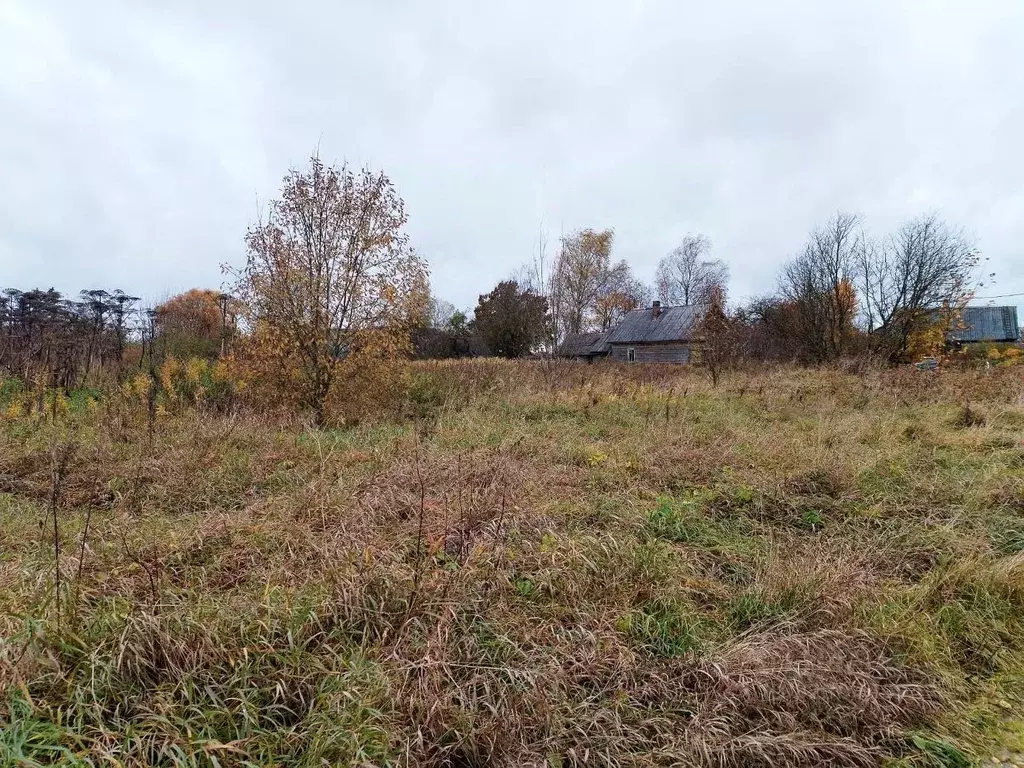 Участок в Ленинградская область, Волосовский район, Клопицкое с/пос, ... - Фото 1