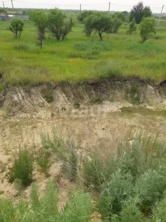 участок в амурская область, благовещенский район, с. усть-ивановка . - Фото 0