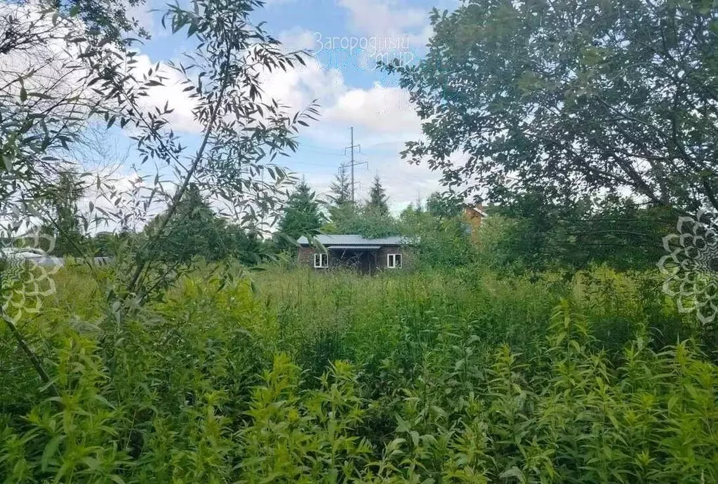 Участок в Московская область, Одинцовский городской округ, д. Лапино, ... - Фото 1