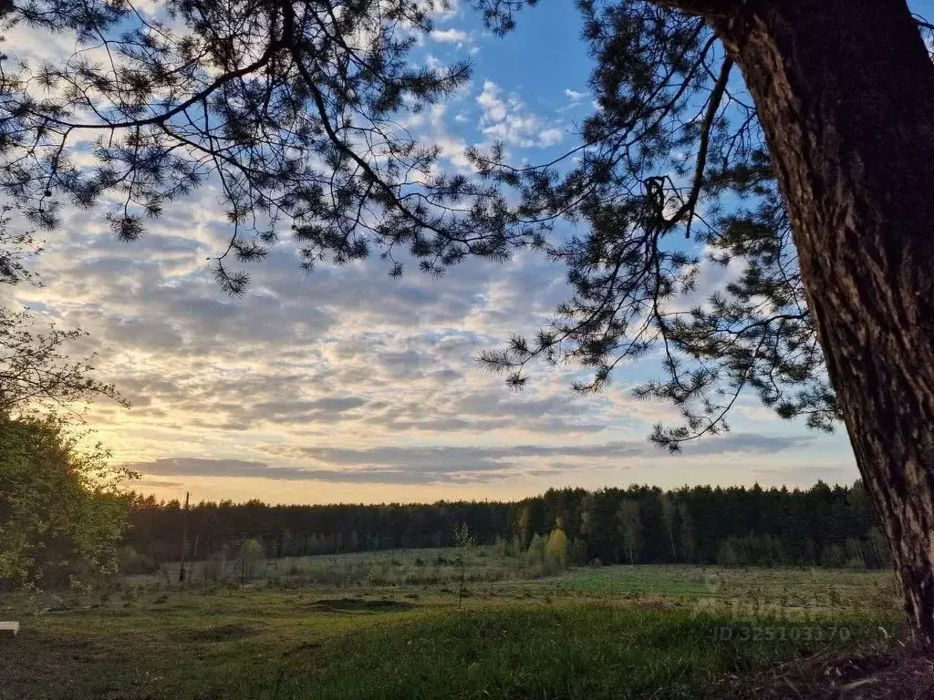 Участок в Калужская область, Боровск Бора-Боровск форестлейк кп,  ... - Фото 1