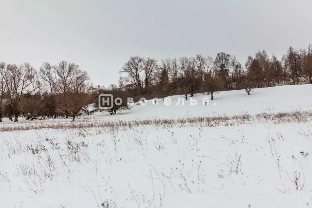 Участок в Рязанская область, Рязанский район, Вышгородское с/пос, с. ... - Фото 1