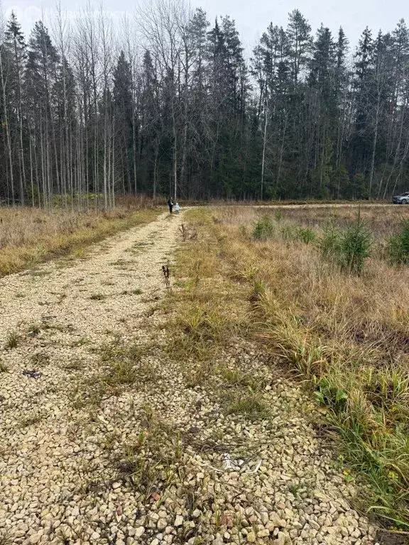 Участок в Ленинградская область, Гатчинский муниципальный округ, ... - Фото 1