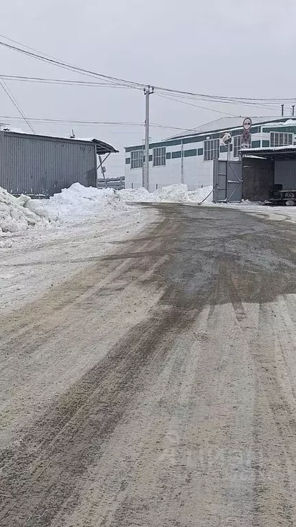 Помещение свободного назначения в Московская область, Домодедово ... - Фото 1