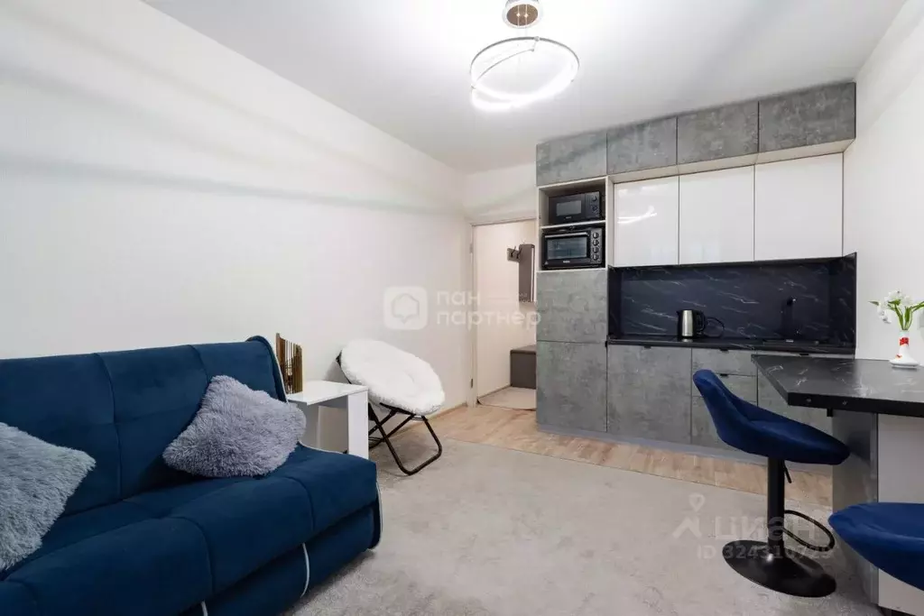 Студия Санкт-Петербург наб. Реки Каменки, 19к1 (20.9 м) - Фото 1