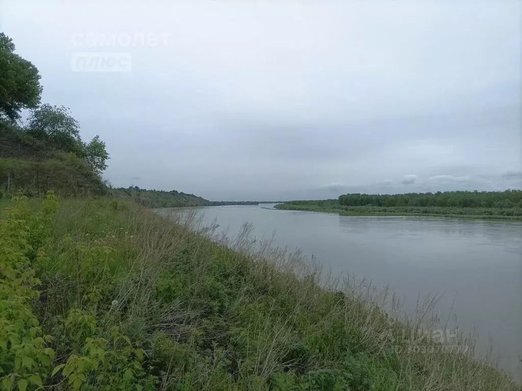 Участок в Алтайский край, Барнаул пл. Ветеранов (5.26 сот.) - Фото 1