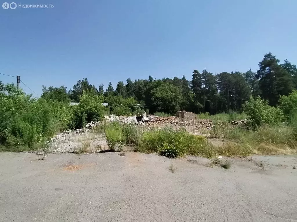 Участок в Алтайский край, Бийск (38.5 м) - Фото 1