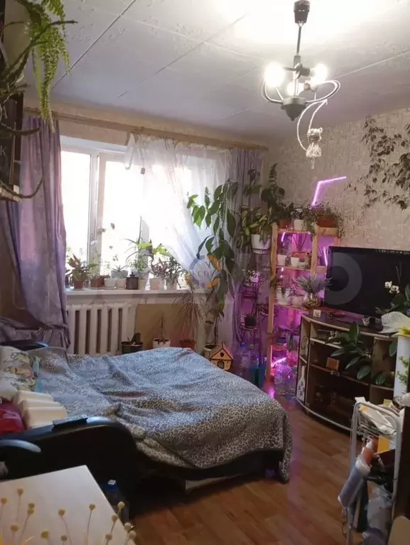 Комната 17,4 м в 1-к., 4/5 эт. - Фото 0