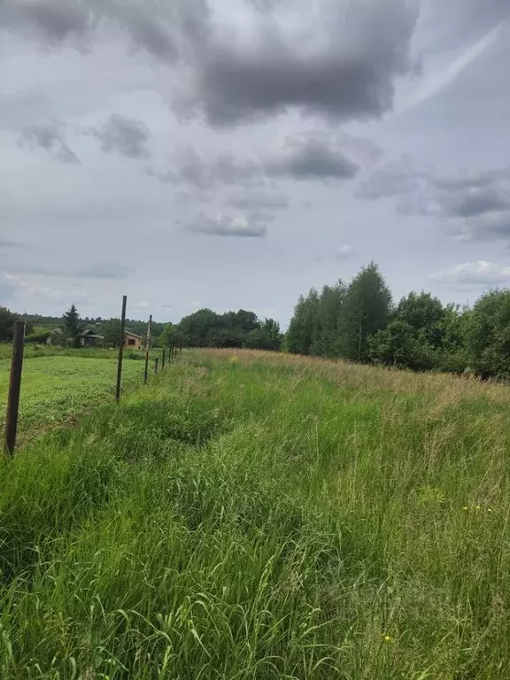 Участок в Нижегородская область, Нижний Новгород с. Большое Мокрое, ... - Фото 2