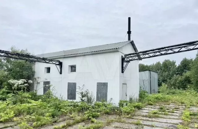 Свободного назначения - Фото 0