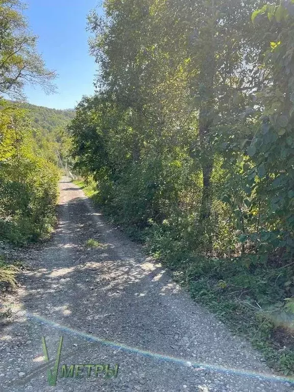 Участок в Приморский край, Артем Виктория СНТ, 13 (5.0 сот.) - Фото 2