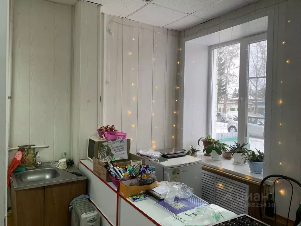 Помещение свободного назначения в Новосибирская область, с. Кыштовка ... - Фото 0