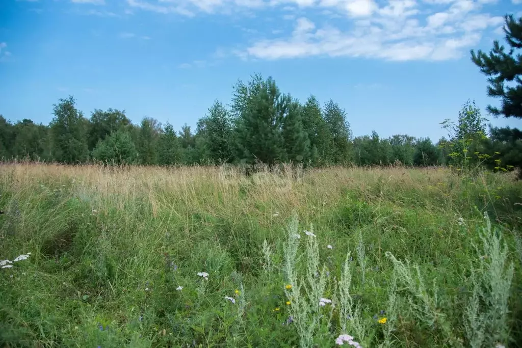 Участок в Новосибирская область, Искитимский район, с. Морозово  (15.0 ... - Фото 1