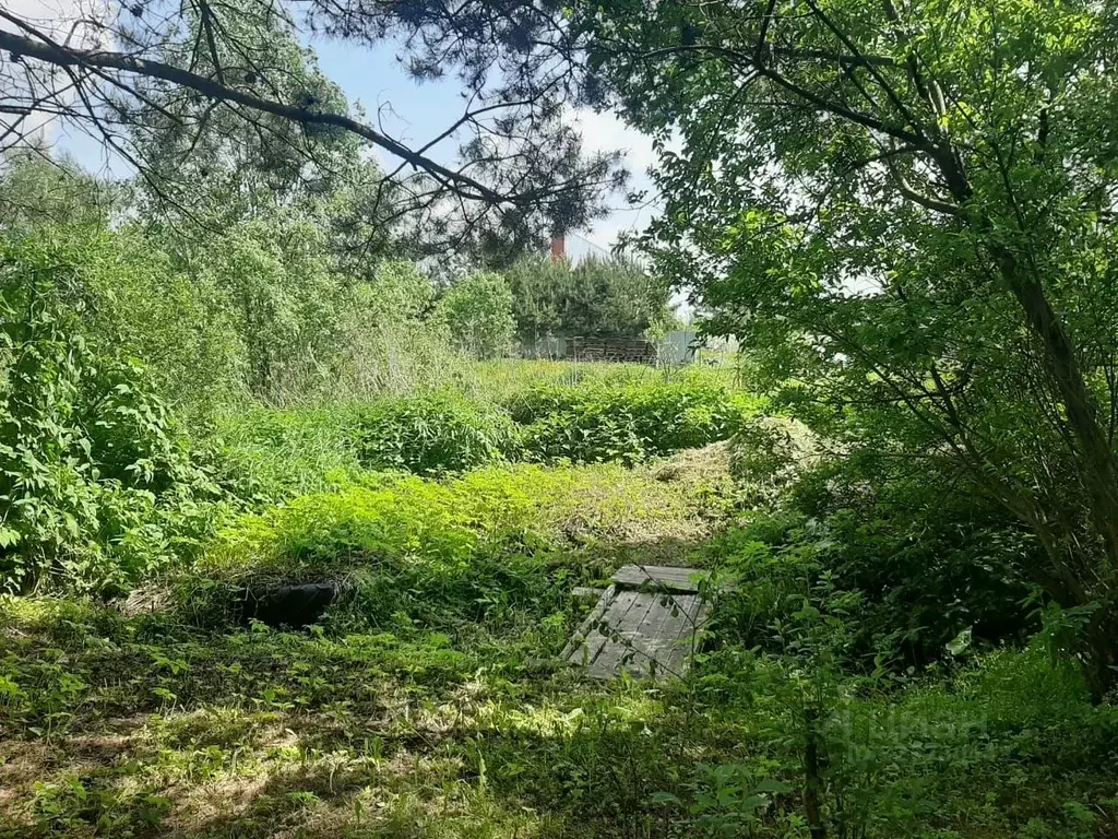 Участок в Тверская область, Конаковский муниципальный округ, д. ... - Фото 1