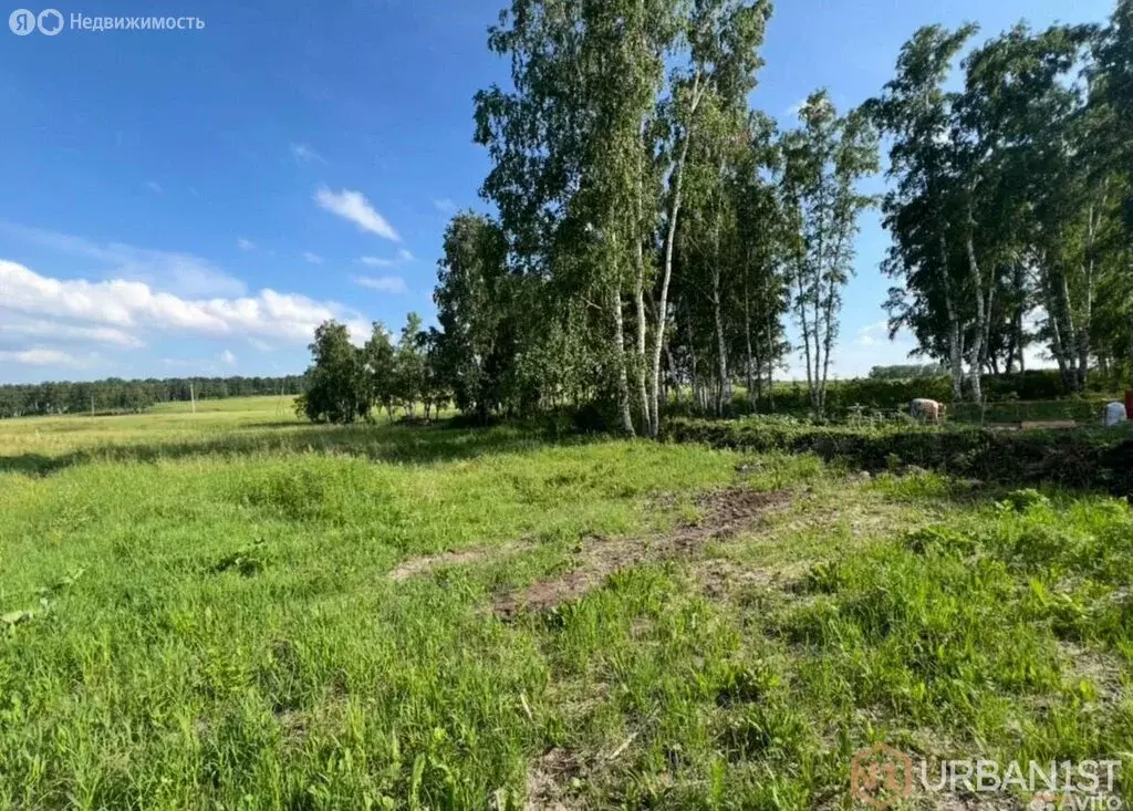 Участок в Емельяновский район, посёлок Солонцы (7.5 м) - Фото 0