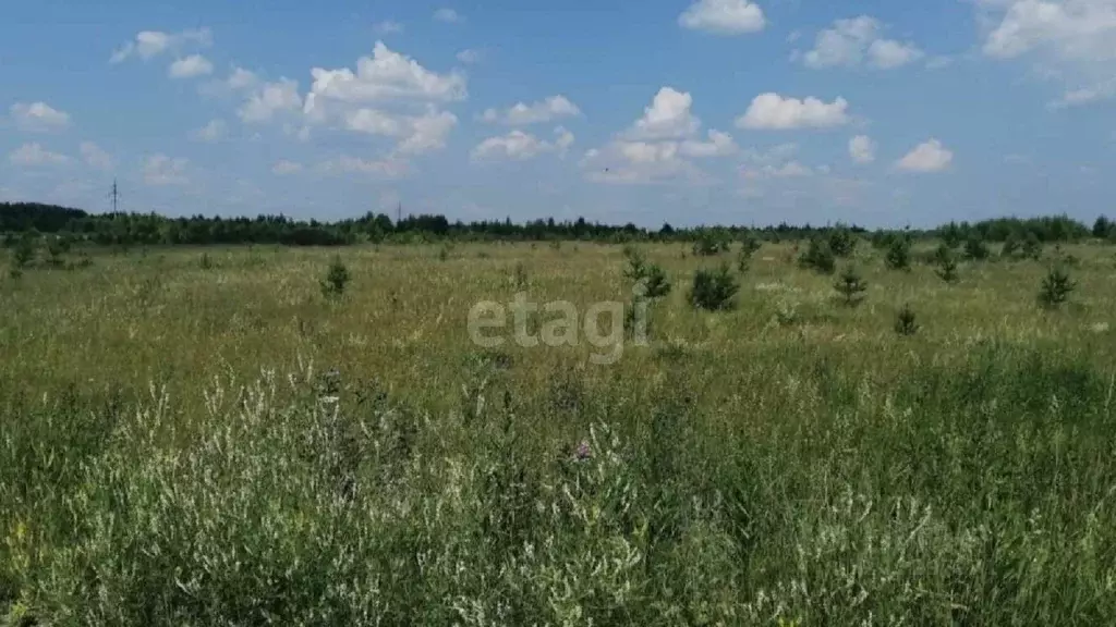 Участок в Свердловская область, Нижний Тагил Радуга СНТ,  (12.0 сот.) - Фото 0