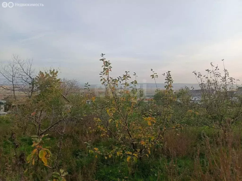 Участок в Льговское, улица Шемьи-Заде, 56 (9.79 м) - Фото 2