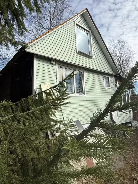 Участок в Ленинградская область, Всеволожский район, Агалатовское ... - Фото 1