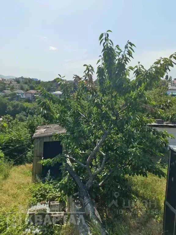 Участок в Краснодарский край, Новороссийск ул. Свободы, 148 (4.5 сот.) - Фото 1