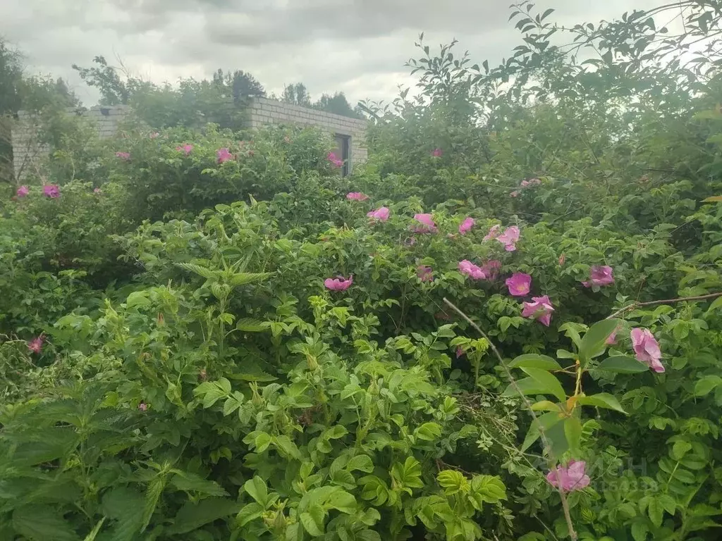 Участок в Нижегородская область, Богородск Учитель СНТ,  (8.66 сот.) - Фото 1