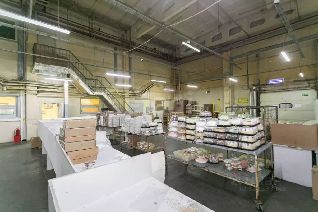 Помещение свободного назначения в Новосибирская область, Новосибирск ... - Фото 1