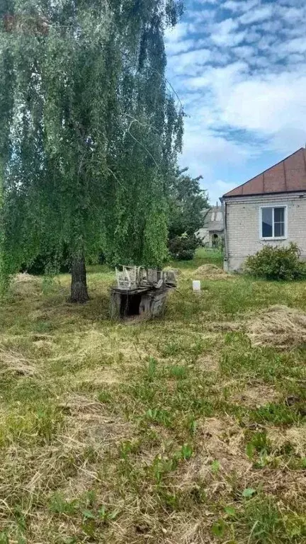 Дом в Воронежская область, Новоусманский район, Рождественско-Хавское ... - Фото 1