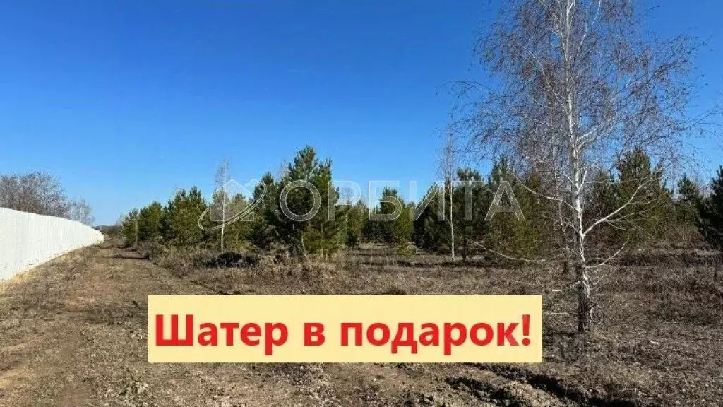 Участок в Тюменская область, Тюменский район, Онегин кп  (20.0 сот.) - Фото 0