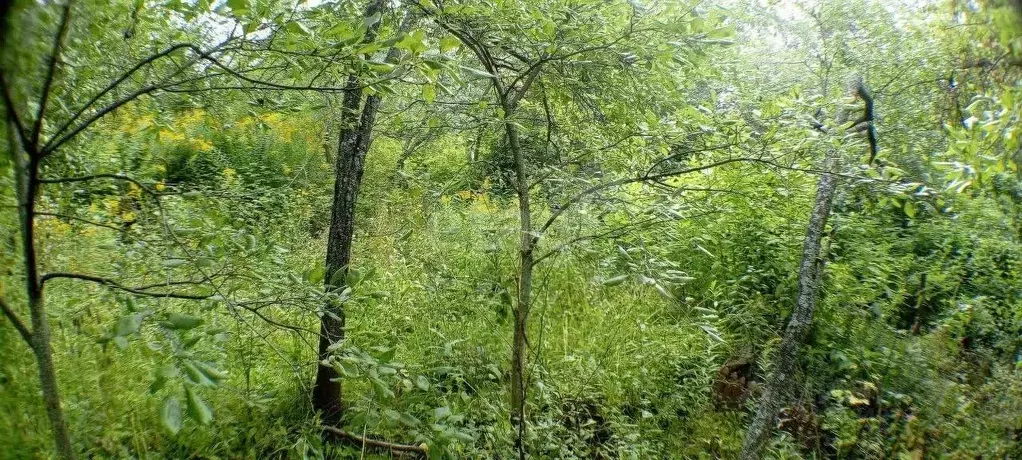 Участок в Нижегородская область, Нижний Новгород Маяк садовое ... - Фото 1