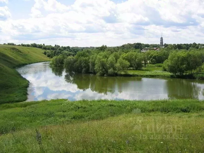 Участок в Тульская область, Веневский муниципальный округ, д. ... - Фото 2