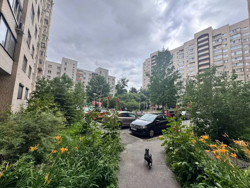 2-к кв. Санкт-Петербург ул. Типанова, 38 (63.0 м) - Фото 1