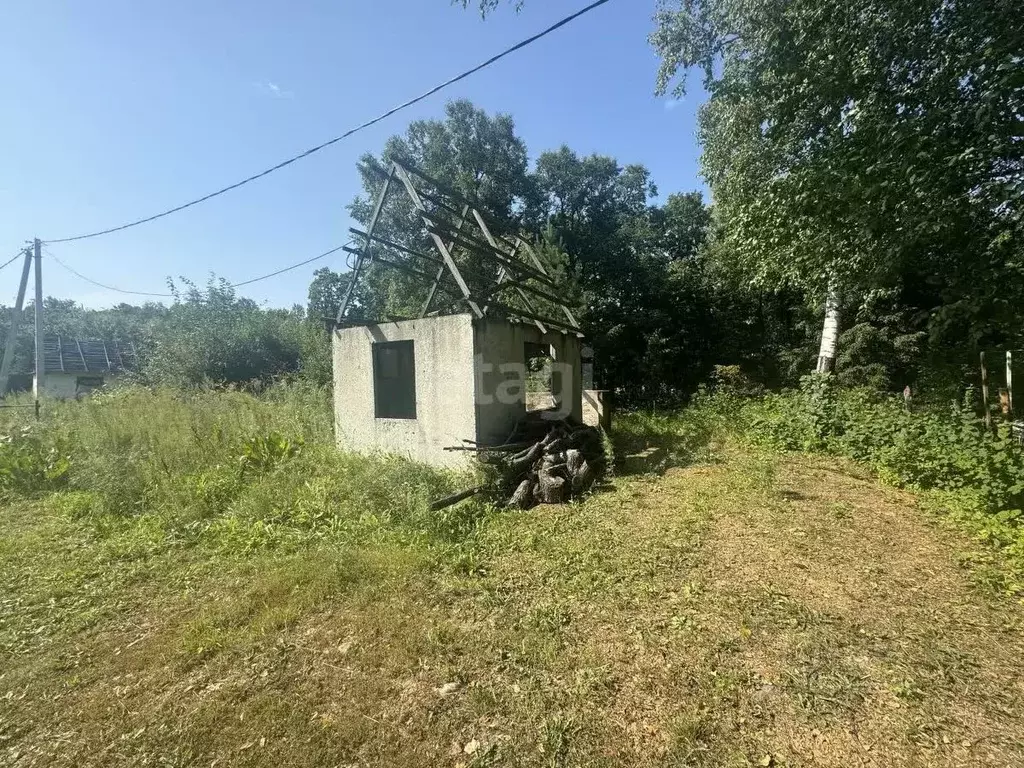 Участок в Амурская область, Благовещенский район, с. Чигири ул. ... - Фото 0