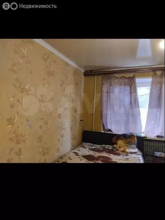 Квартира-студия: Старый Оскол, микрорайон Горняк, 9 (13 м) - Фото 1