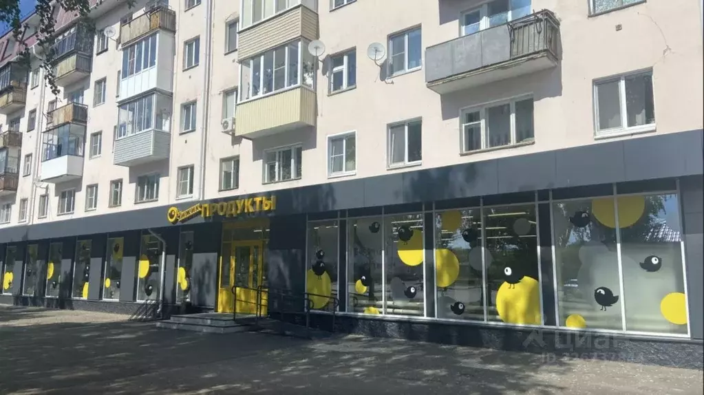 Торговая площадь в Марий Эл, Йошкар-Ола ул. Яналова, 4А (1095 м) - Фото 2