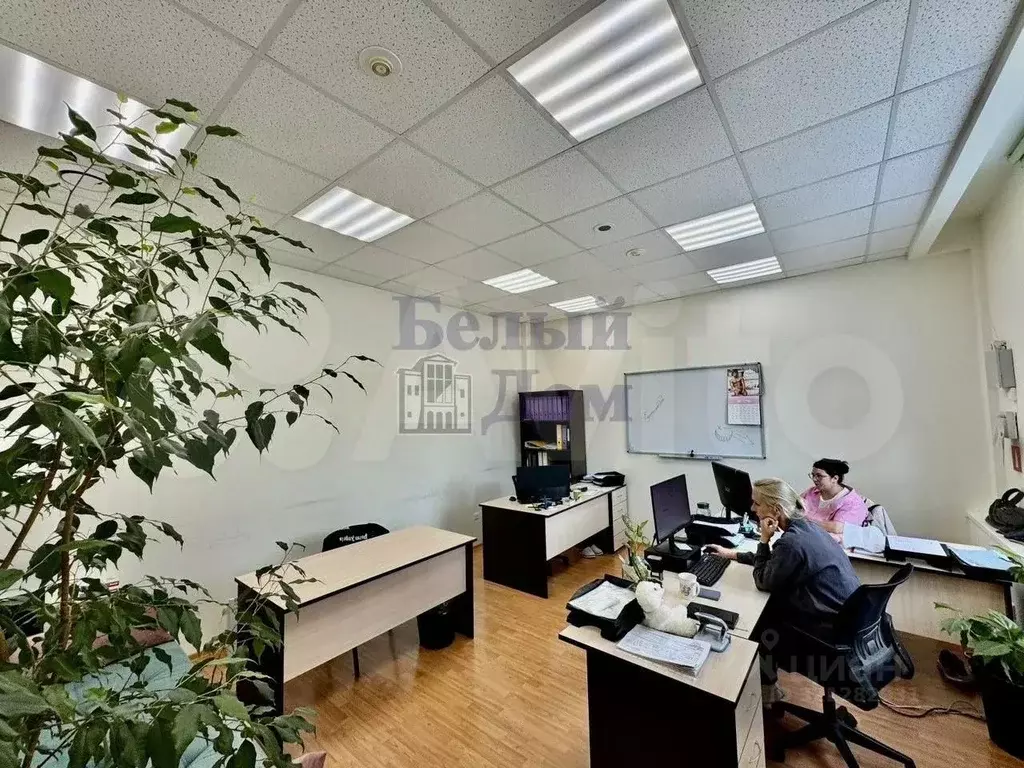 Офис в Свердловская область, Екатеринбург ул. Ясная, 31 (223 м) - Фото 1