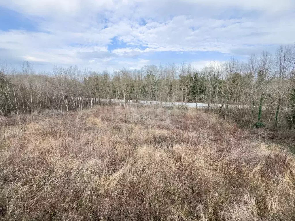 Участок в Краснодарский край, Геленджик городской округ, с. ... - Фото 1