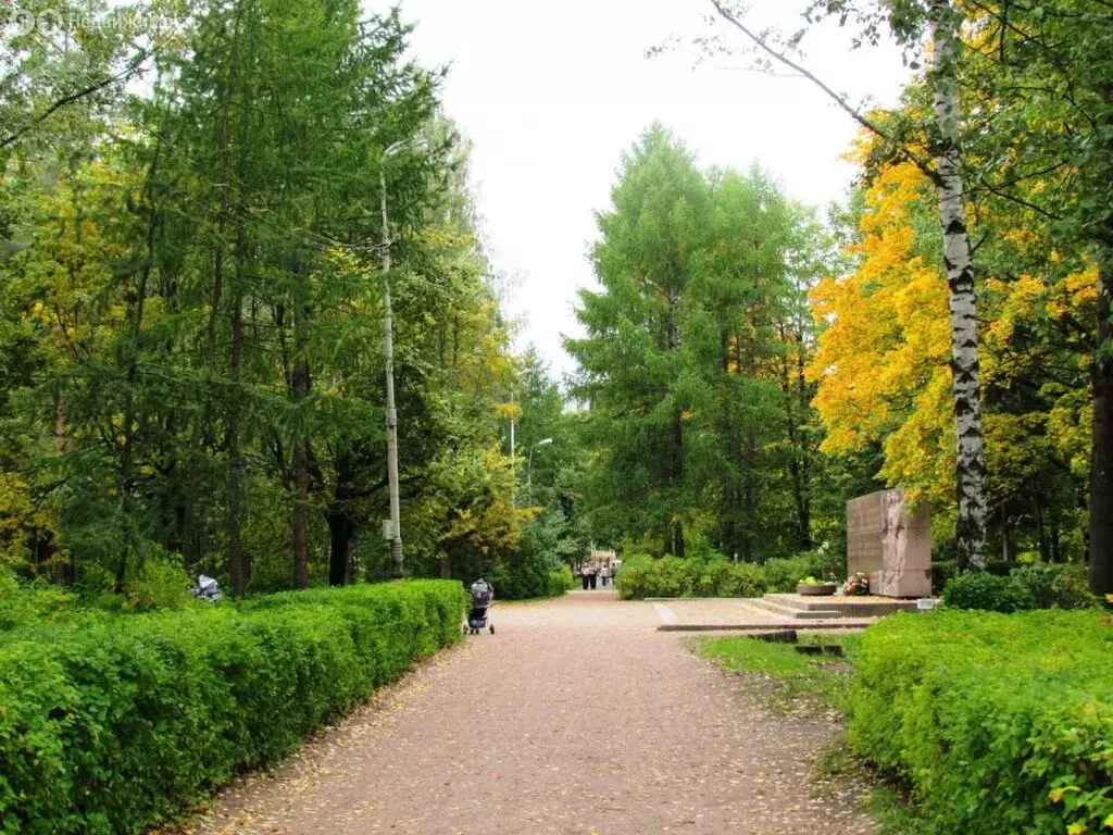 Помещение свободного назначения (30 м) - Фото 1