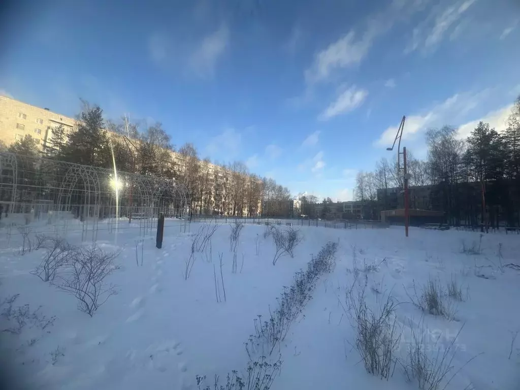 3-к кв. Татарстан, Казань ул. Карбышева, 17 (61.0 м) - Фото 1