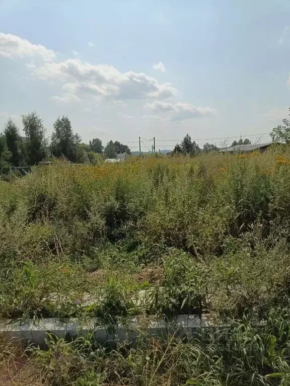 Участок в Московская область, Солнечногорск городской округ, д. ... - Фото 1