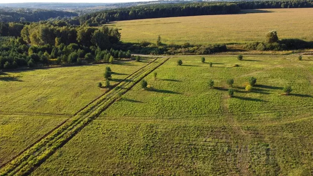 Участок в Тульская область, Заокский район, Малаховское с/пос, д. ... - Фото 2