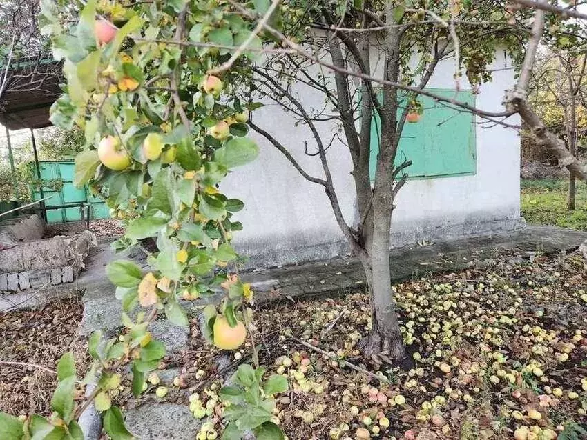 Купить Дачу В Аксайском Районе