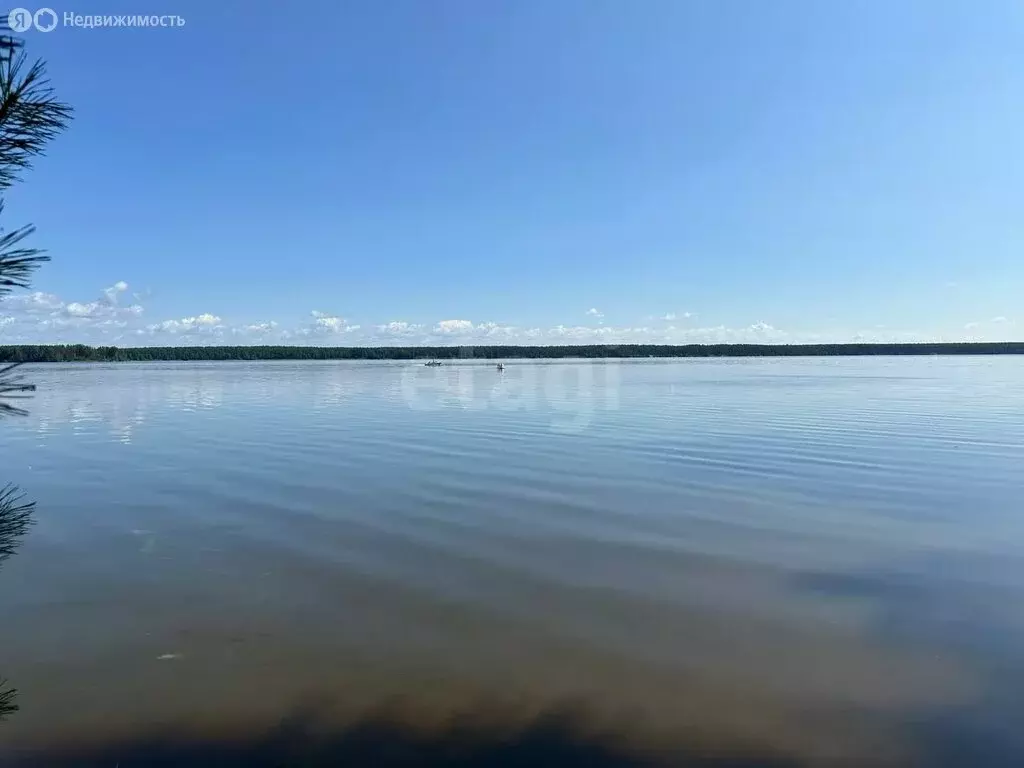 Участок в Костромская область, Кадыйский муниципальный округ, деревня ... - Фото 1