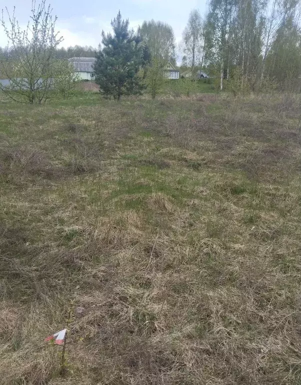 Участок в Псковская область, Великолукский район, Пореченская волость  ... - Фото 2