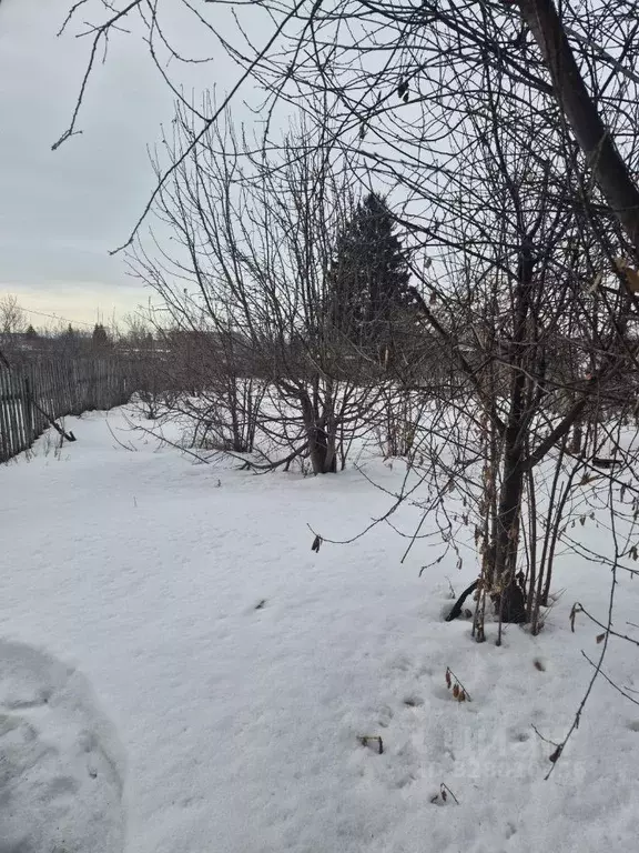 Участок в Омская область, Омский район муниципальный округ, пос. ... - Фото 1